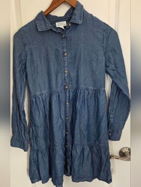 Market & Spruce Blue Denim Button-Front Tiered Dress
